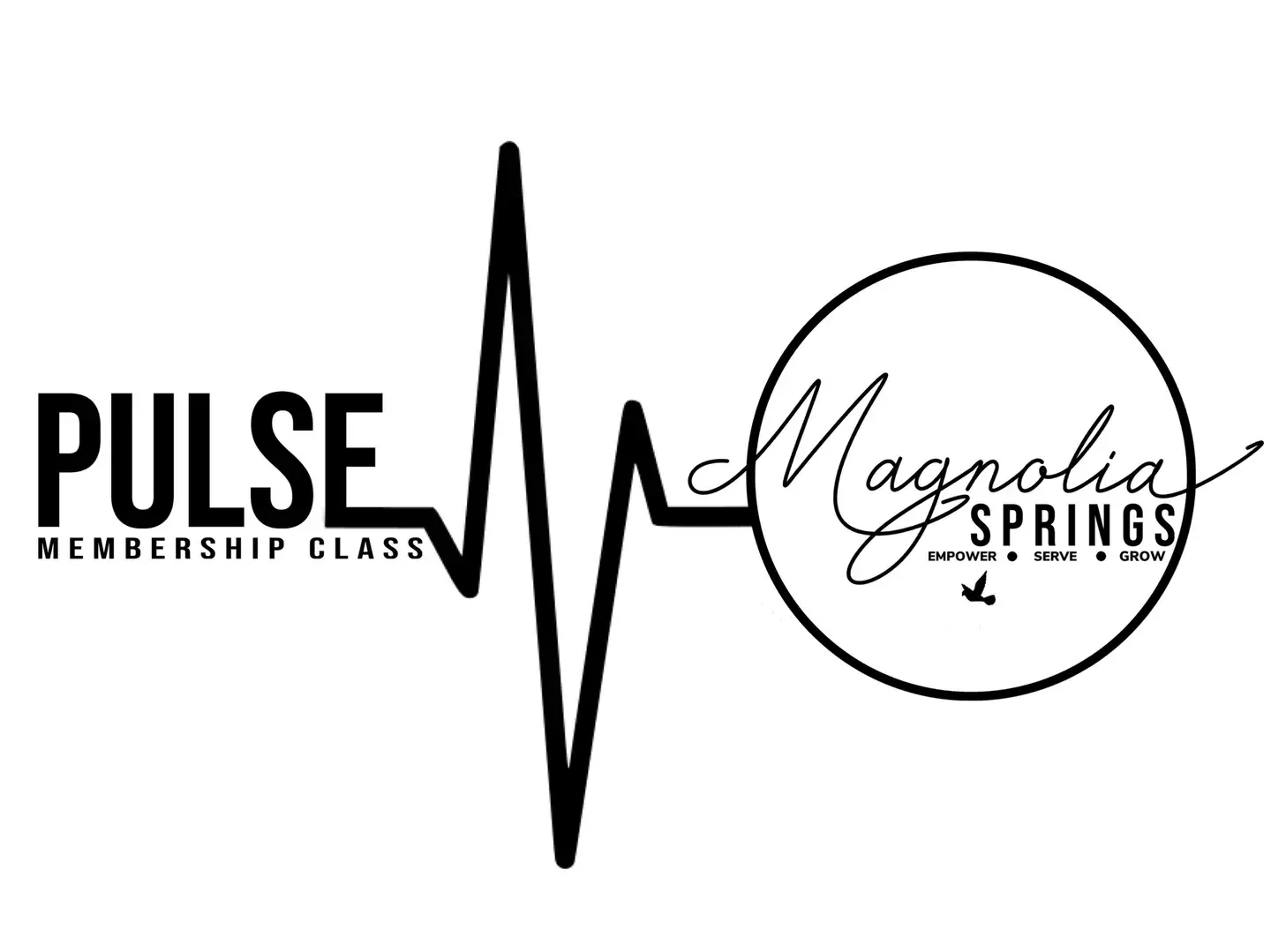Pulse Membership Class logo banner